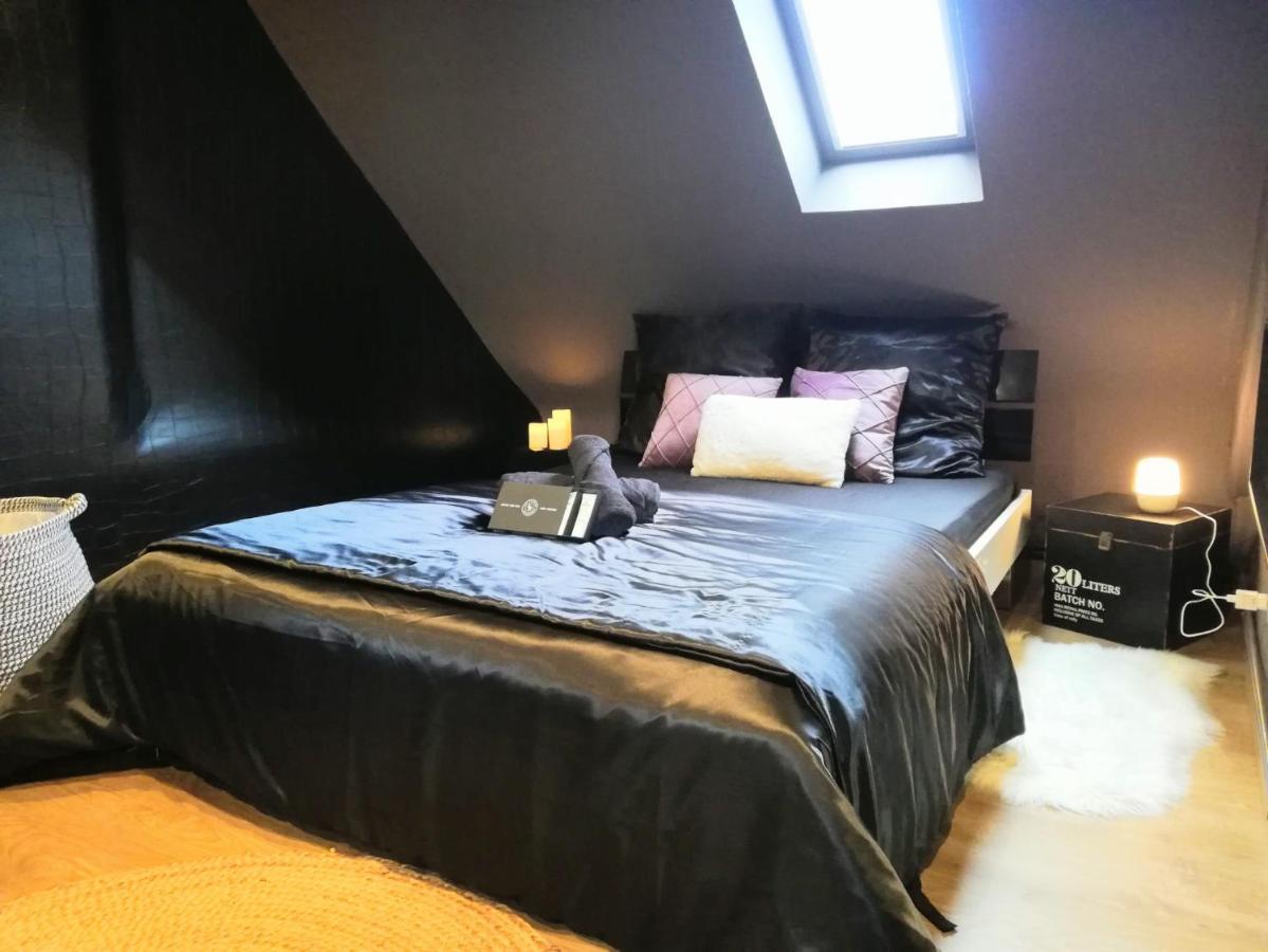 Escale - Croisee Des Parcs - Cosy, Et Confortable - Business Appartement Niederbronn-les-Bains