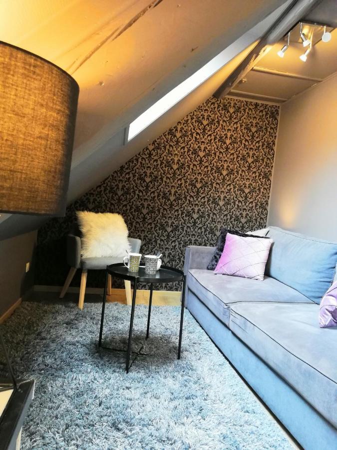 Escale - Croisee Des Parcs - Cosy, Et Confortable - Business Appartement Niederbronn-les-Bains